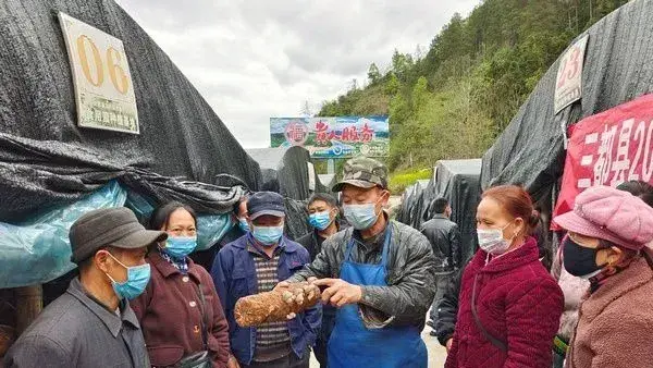 贵州省三都县：“短平快”食用菌技能培训 助力乡村振兴