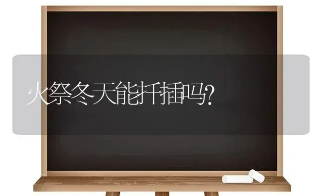 火祭冬天能扦插吗？ | 多肉养殖