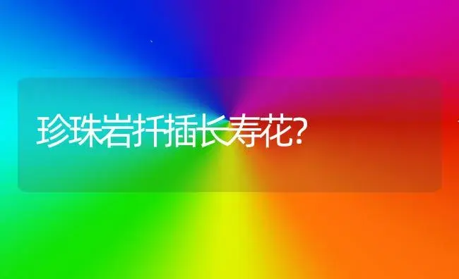 珍珠岩扦插长寿花？ | 多肉养殖