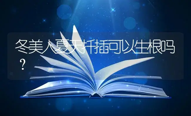 冬美人夏天扦插可以生根吗？ | 多肉养殖