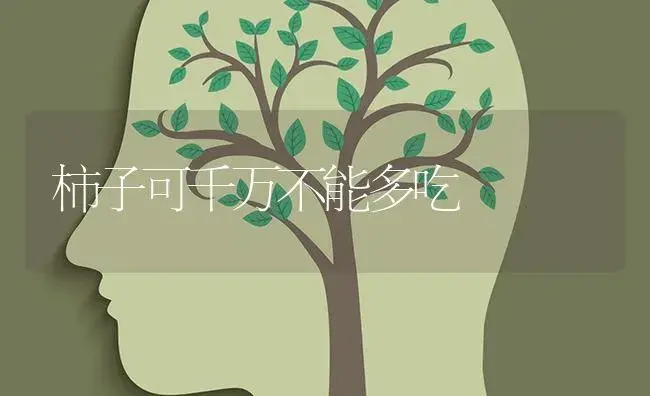 柿子可千万不能多吃 | 果木种植