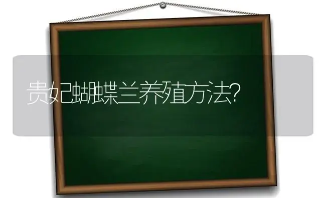 贵妃蝴蝶兰养殖方法？ | 绿植常识