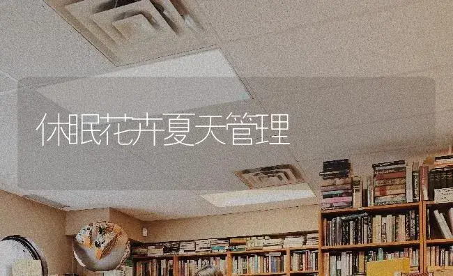休眠花卉夏天管理 | 特种种植
