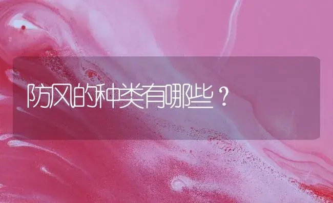 防风的种类有哪些？ | 药材种植