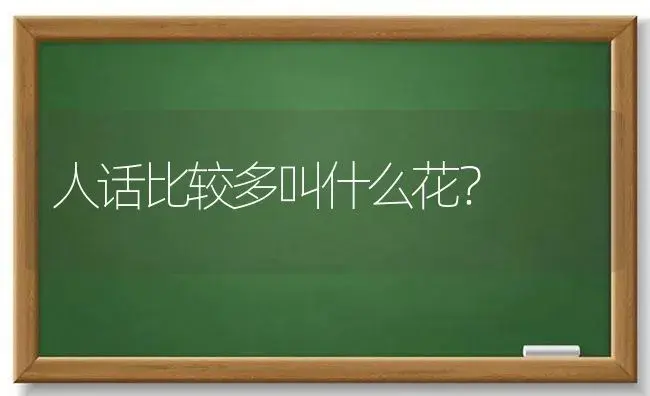 人话比较多叫什么花？ | 绿植常识