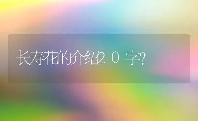 长寿花的介绍20字？ | 多肉养殖