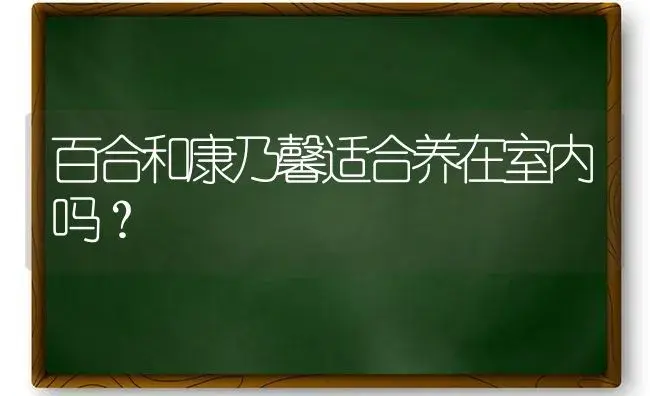 百合和康乃馨适合养在室内吗？ | 绿植常识