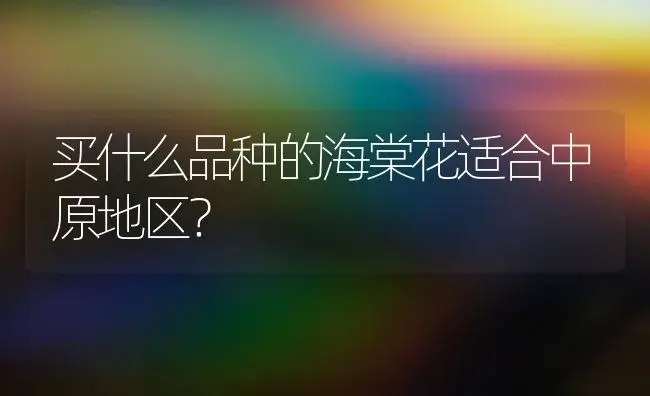 买什么品种的海棠花适合中原地区？ | 绿植常识