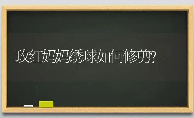 玫红妈妈绣球如何修剪？ | 绿植常识