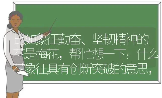 比如象征勤奋、坚韧精神的花是梅花，帮忙想一下：什么花象征具有创新突破的意思，什么花象征具有凝聚力？ | 绿植常识