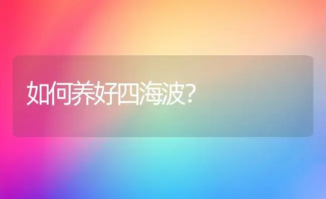 如何养好四海波？ | 多肉养殖