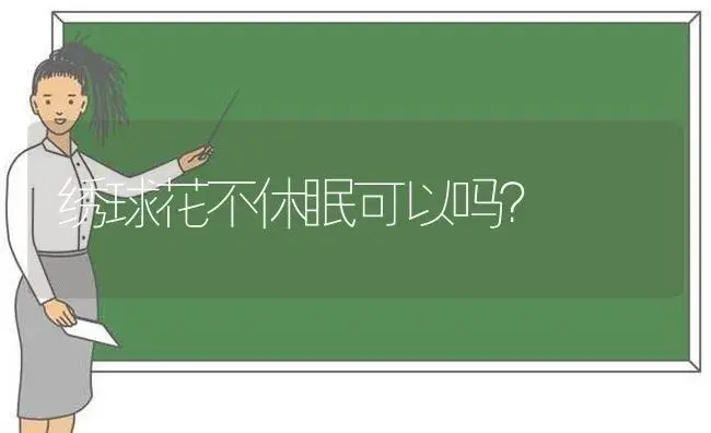 生日最暖心短句干净情侣？ | 绿植常识