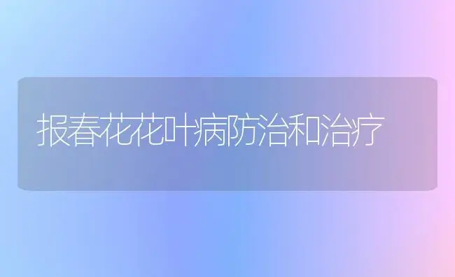 报春花花叶病防治和治疗 | 家庭养花