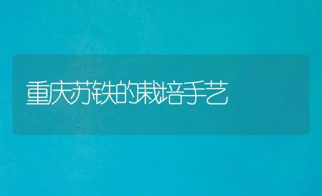 重庆苏铁的栽培手艺 | 家庭养花