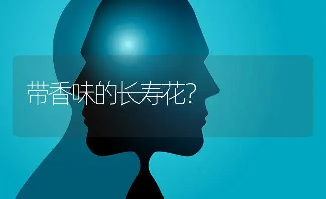 带香味的长寿花？ | 多肉养殖