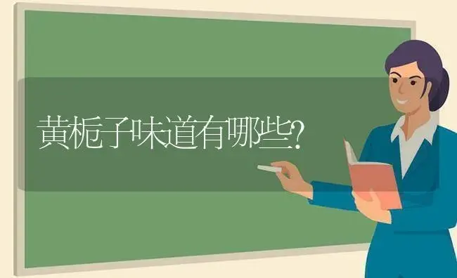 黄栀子味道有哪些？ | 绿植常识