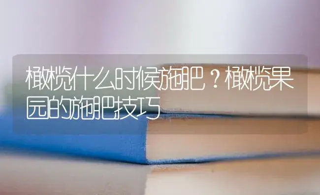 橄榄什么时候施肥？橄榄果园的施肥技巧 | 果木种植