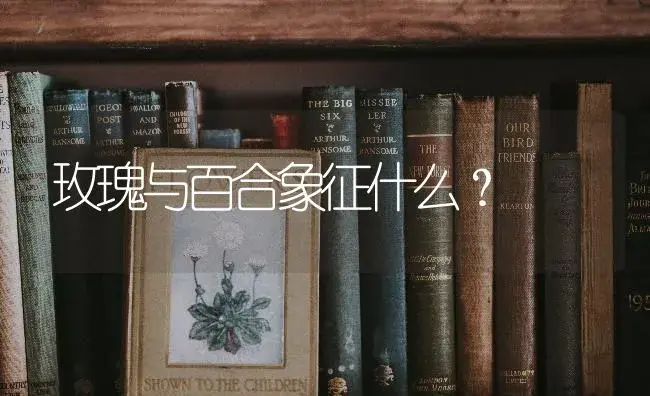 玫瑰与百合象征什么？ | 绿植常识