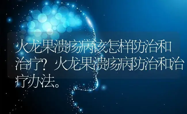 火龙果溃疡病该怎样防治和治疗？火龙果溃疡病防治和治疗办法。 | 果木种植