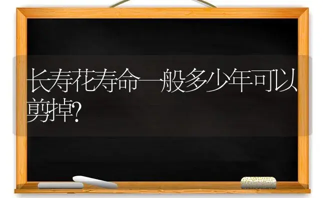 长寿花寿命一般多少年可以剪掉？ | 多肉养殖