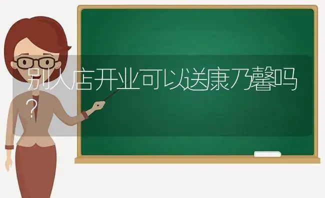 别人店开业可以送康乃馨吗？ | 绿植常识