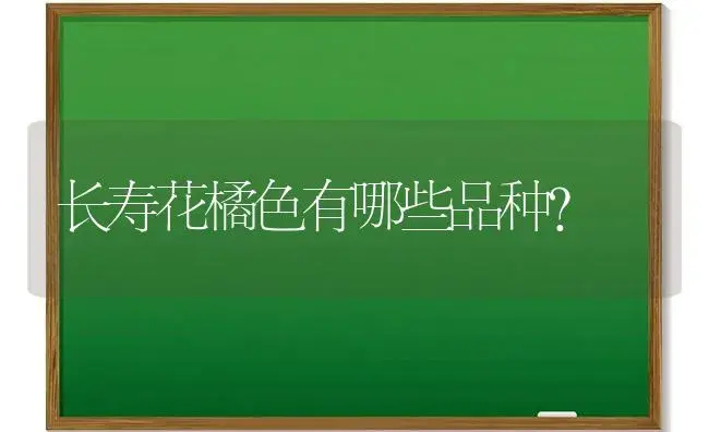 长寿花橘色有哪些品种？ | 多肉养殖