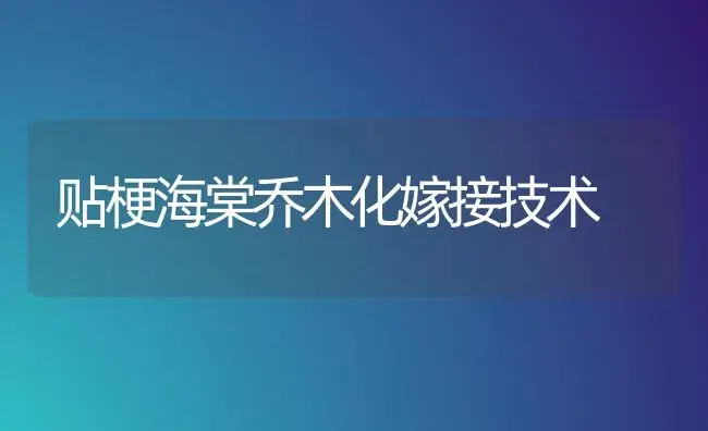 贴梗海棠乔木化嫁接技术 | 家庭养花