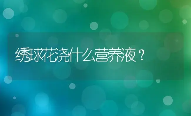 绣球花浇什么营养液？ | 绿植常识