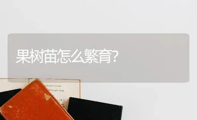 果树苗怎么繁育？ | 特种种植