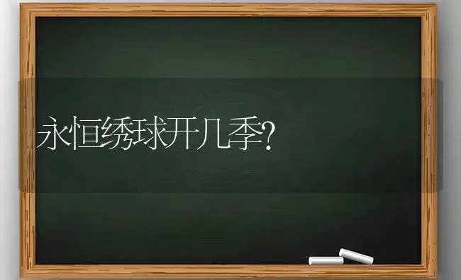 永恒绣球开几季？ | 绿植常识