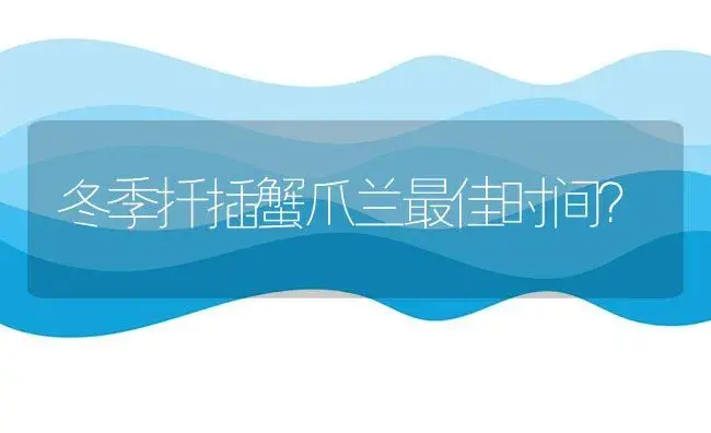 冬季扦插蟹爪兰最佳时间？ | 多肉养殖