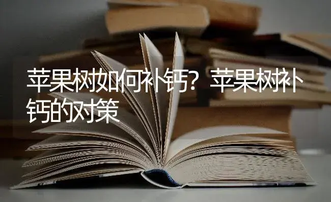 苹果树如何补钙？苹果树补钙的对策 | 果木种植