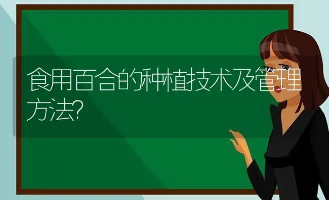 食用百合的种植技术及管理方法？ | 绿植常识