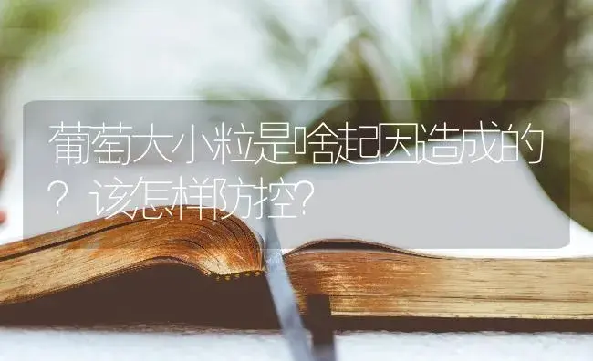 葡萄大小粒是啥起因造成的？该怎样防控？ | 果木种植