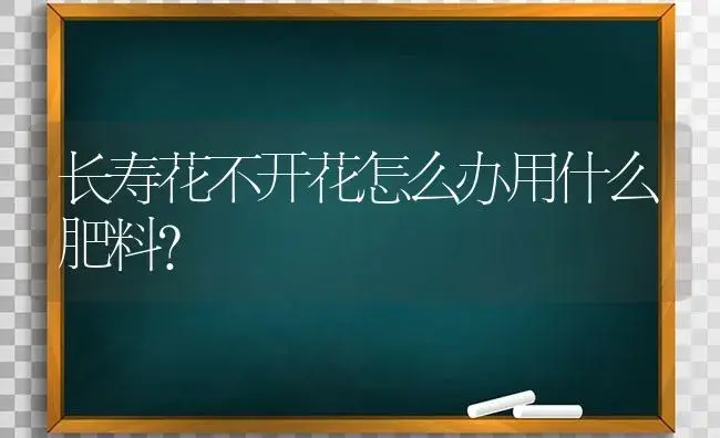 长寿花不开花怎么办用什么肥料？ | 多肉养殖