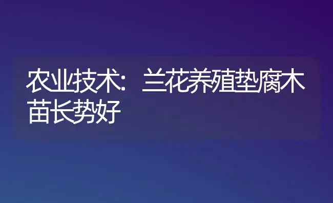 农业技术:兰花养殖垫腐木苗长势好 | 家庭养花