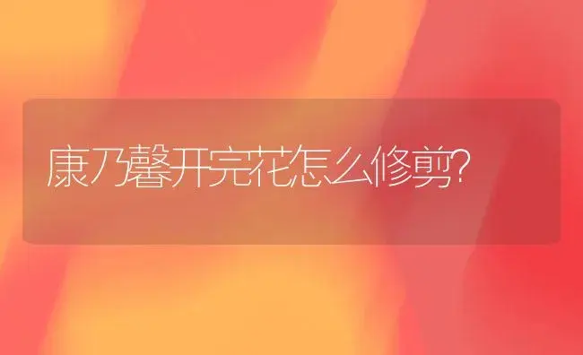 康乃馨开完花怎么修剪？ | 绿植常识