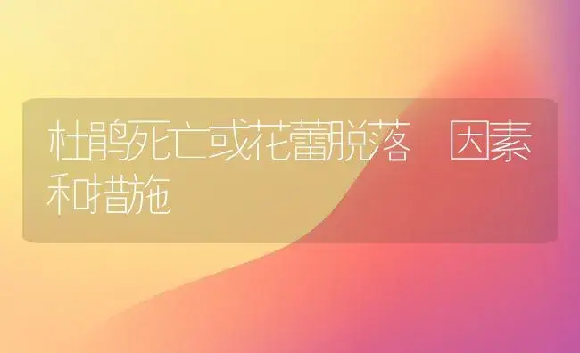 杜鹃死亡或花蕾脱落 因素和措施 | 家庭养花