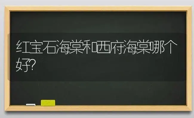 红宝石海棠和西府海棠哪个好？ | 绿植常识