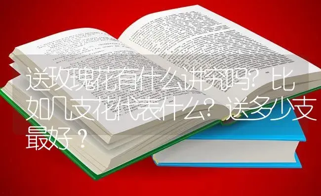 送玫瑰花有什么讲究吗?比如几支花代表什么?送多少支最好？ | 绿植常识