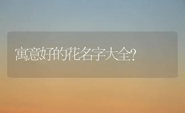 寓意好的花名字大全？ | 多肉养殖