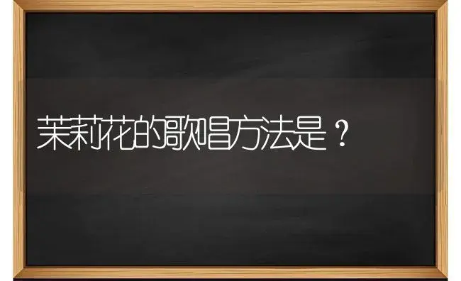 茉莉花的歌唱方法是？ | 绿植常识