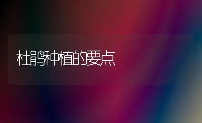 百合五症病毒怎样避免 | 家庭养花