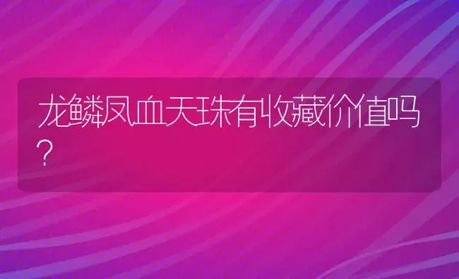 龙鳞凤血天珠有收藏价值吗？ | 多肉养殖