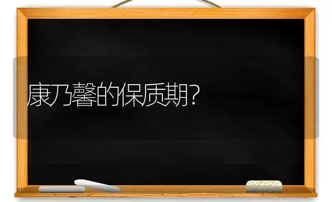 康乃馨的保质期？ | 绿植常识