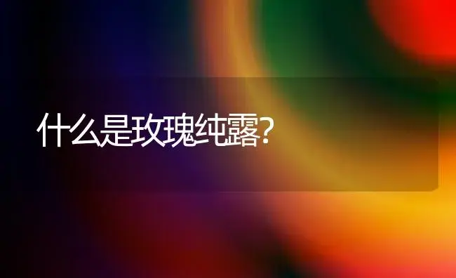 三色堇怎么保存？ | 绿植常识