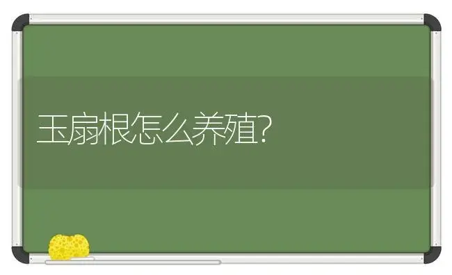 玉扇根怎么养殖？ | 多肉养殖