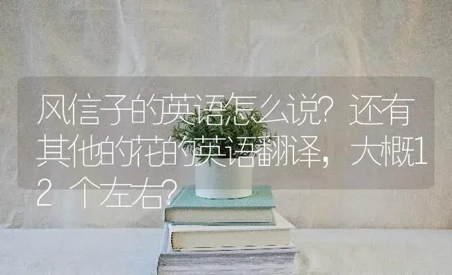 风信子的英语怎么说？还有其他的花的英语翻译，大概12个左右？ | 绿植常识