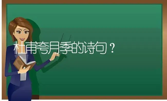 杜甫夸月季的诗句？ | 绿植常识