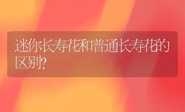 迷你长寿花和普通长寿花的区别？ | 多肉养殖